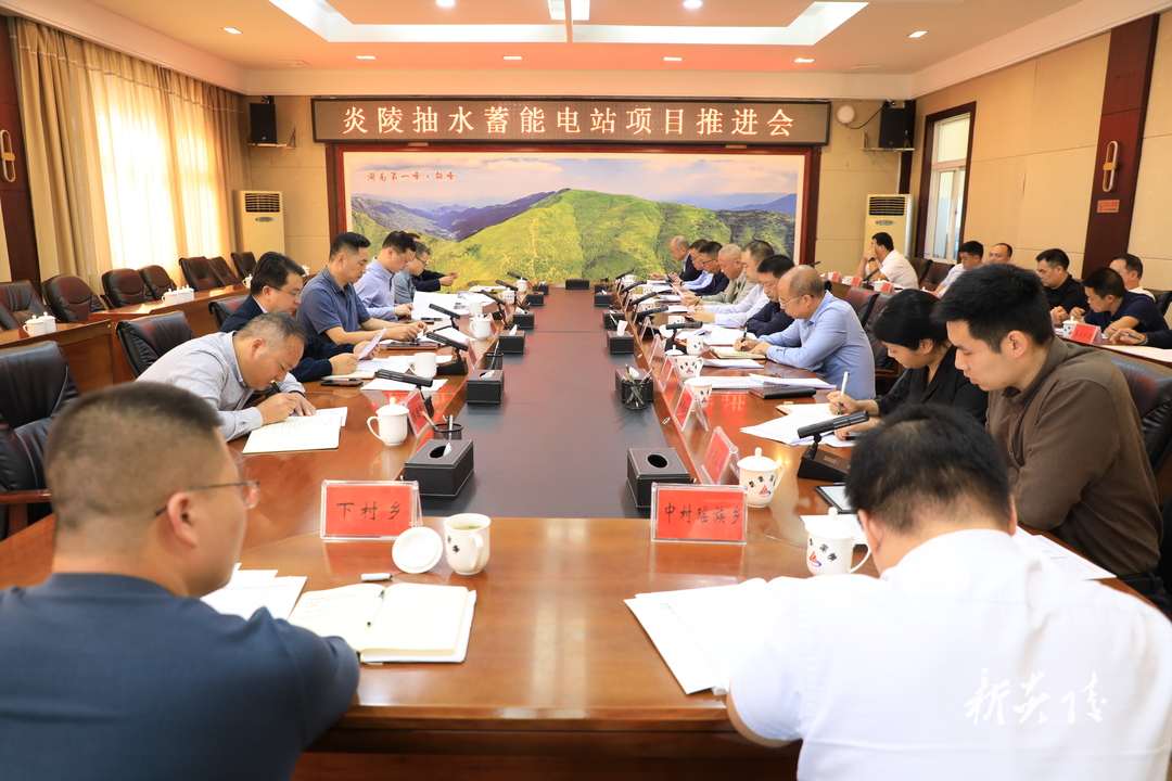 图文丨炎陵抽水蓄能电站项目推进会召开 尹朝晖夏胜利出席