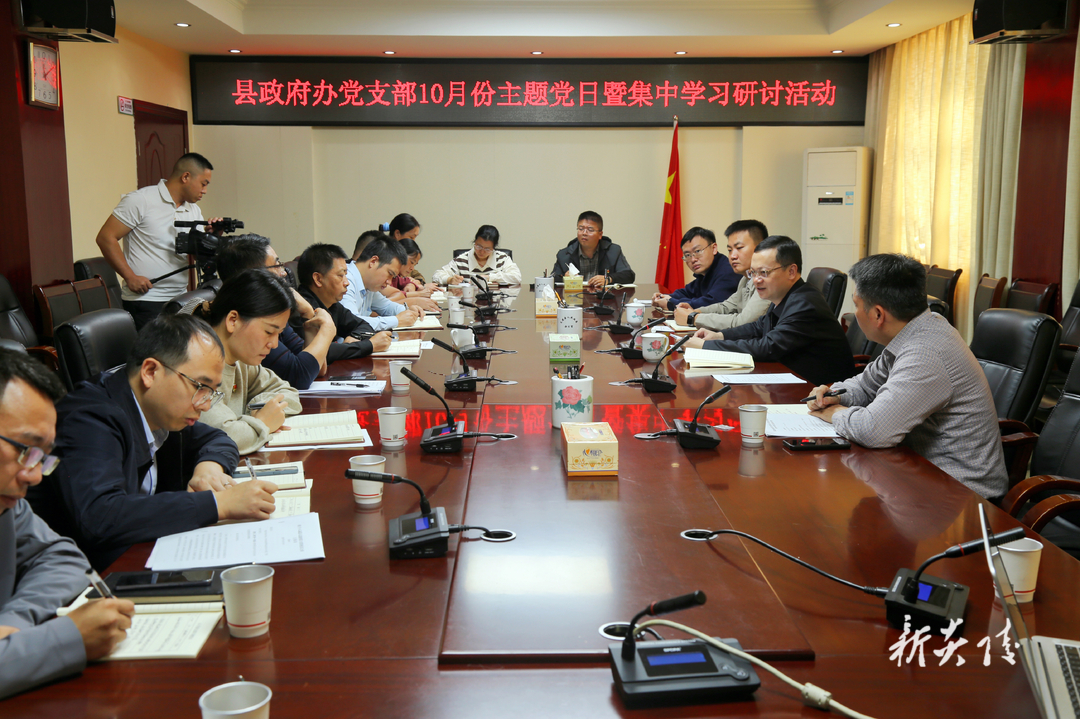图文丨县政府办党支部开展10月份主题党日暨集中学习研讨活动 夏胜利参加