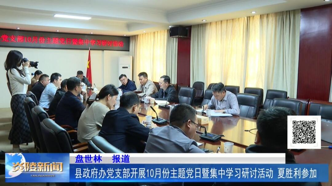 县政府办党支部开展10月份主题党日暨集中学习研讨活动 夏胜利参加