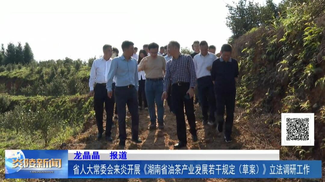 省人大常委会来炎开展《湖南省油茶产业发展若干规定（草案）》立法调研工作
