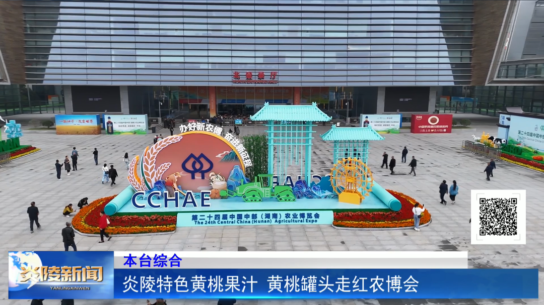 炎陵特色黄桃果汁 黄桃罐头走红农博会