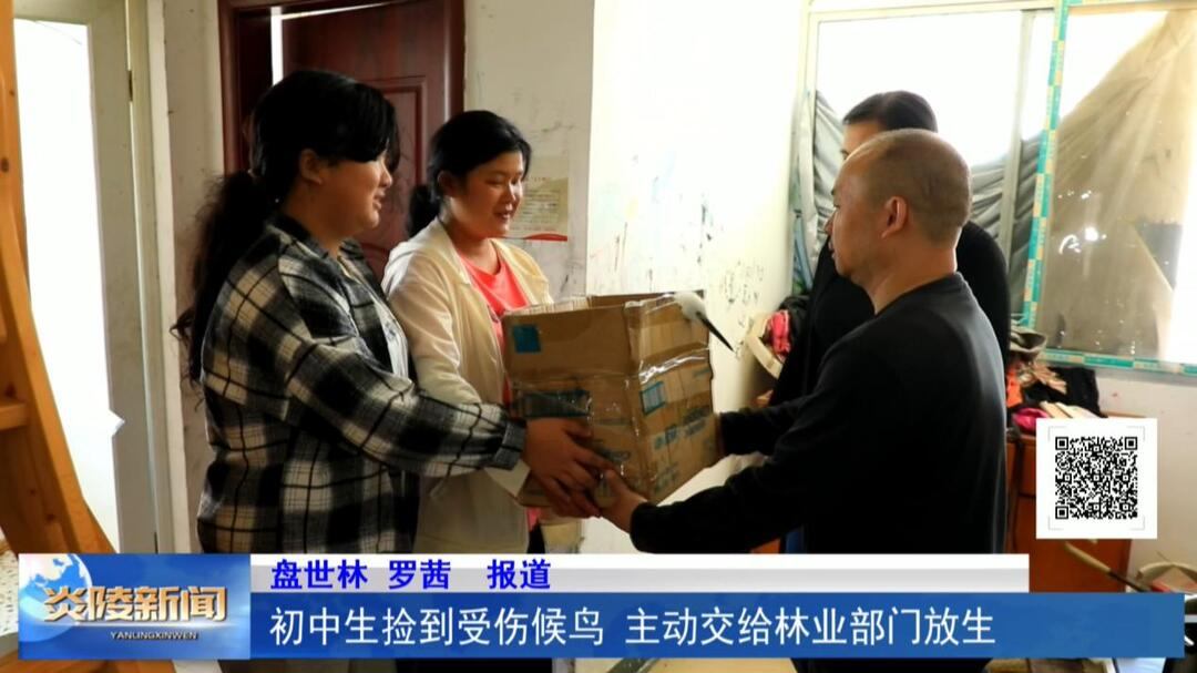 初中生捡到受伤候鸟 主动交给林业部门放生