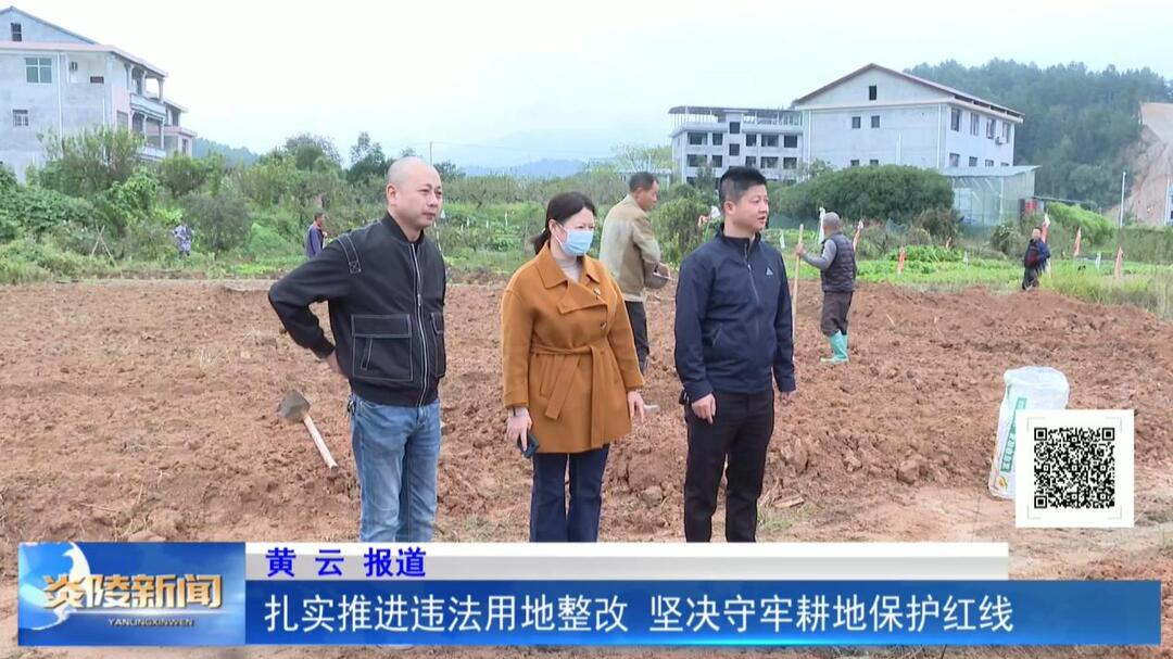 扎实推进违法用地整改 坚决守牢耕地保护红线