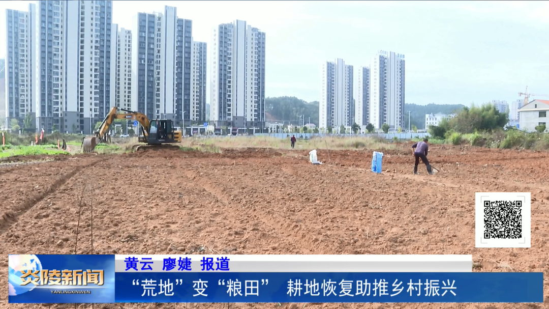 “荒地”变“粮田” 耕地恢复助推乡村振兴