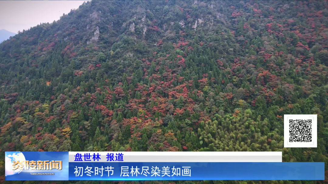 初冬时节 层林尽染美如画