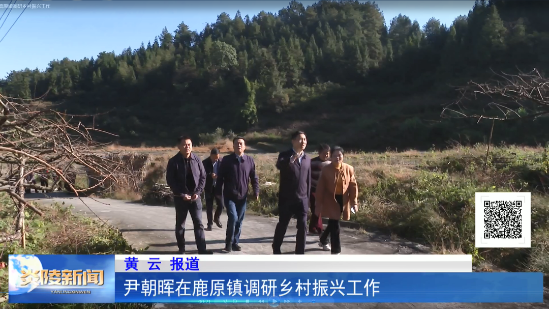 尹朝晖在鹿原镇调研乡村振兴工作