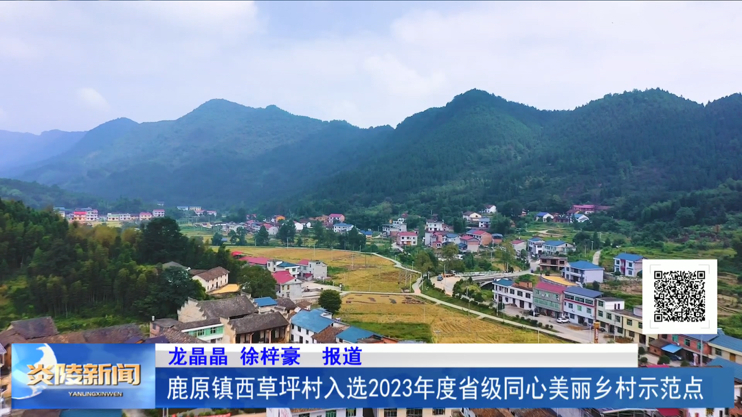 鹿原镇西草坪村入选2023年度省级同心美丽乡村示范点