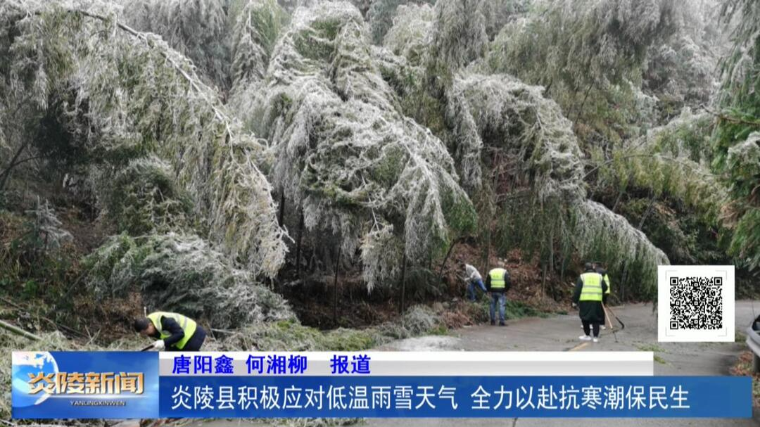 炎陵县积极应对低温雨雪天气 全力以赴抗寒潮保民生