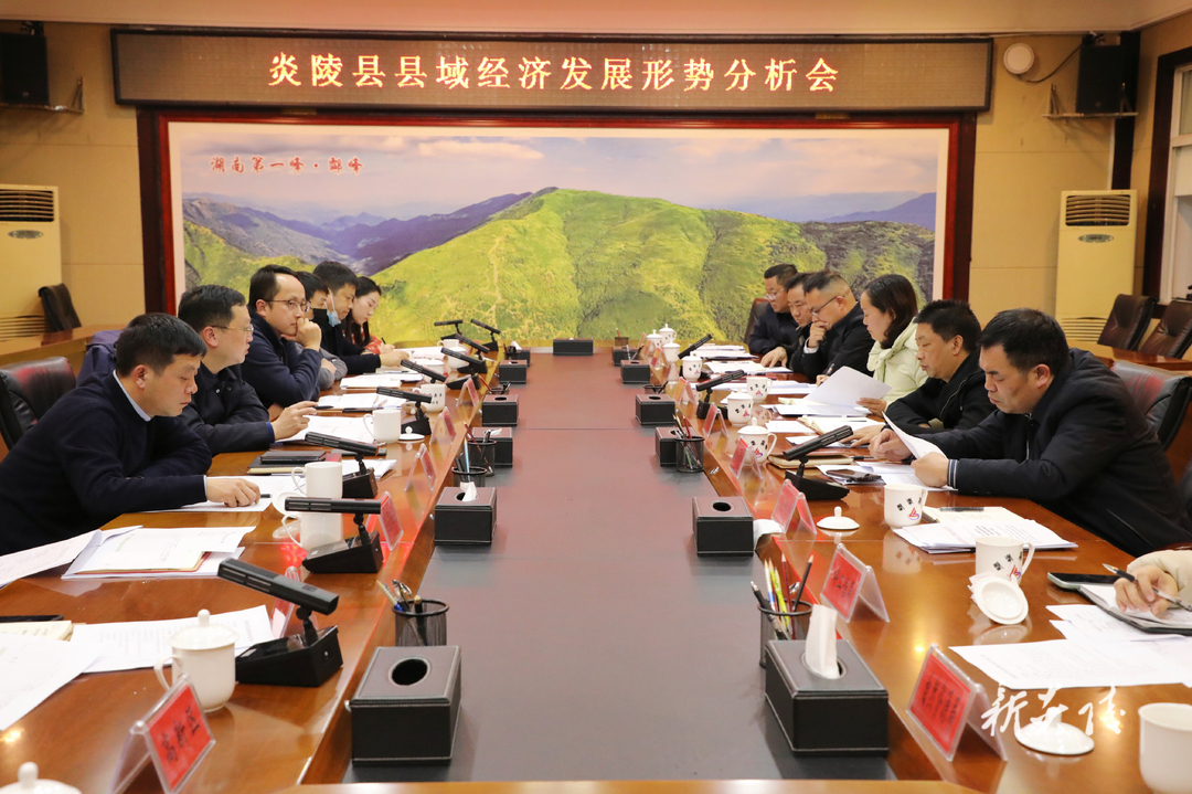 图文丨炎陵县召开县域经济高质量发展形势分析会 夏胜利出席并讲话