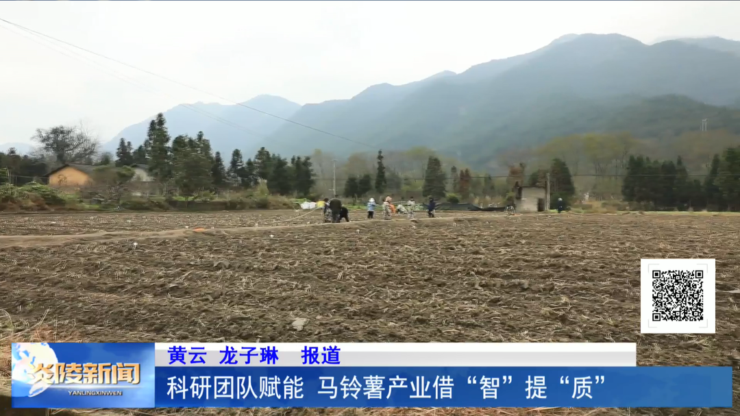 科研团队赋能 马铃薯产业借“智”提“质”