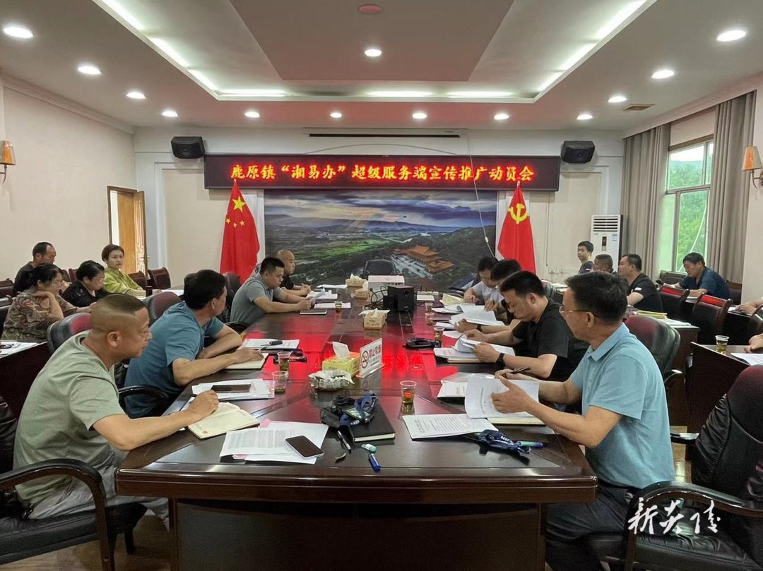 炎陵县鹿原镇、垄溪乡等乡镇开展“湘易办”APP宣传推广工作