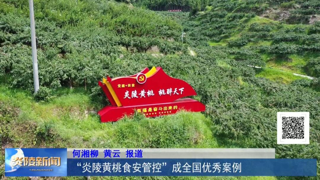 “炎陵黄桃食安管控”成全国优秀案例