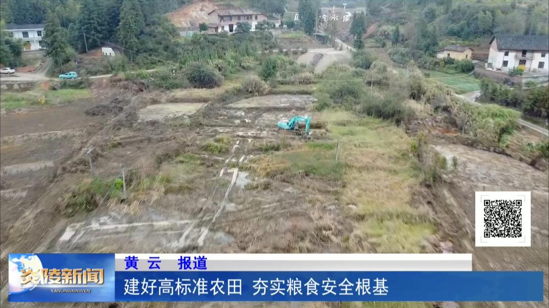 建好高标准农田 夯实粮食安全根基