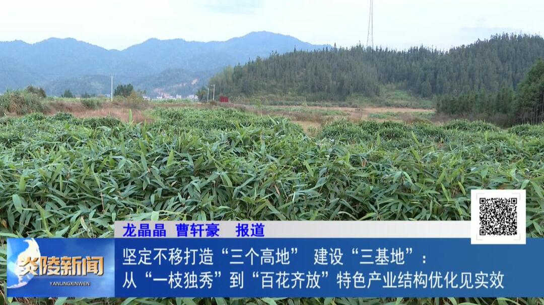 坚定不移打造“三个高地”、建设“三基地”：从“一枝独秀”到“百花齐放” 特色产业结构优化见实效