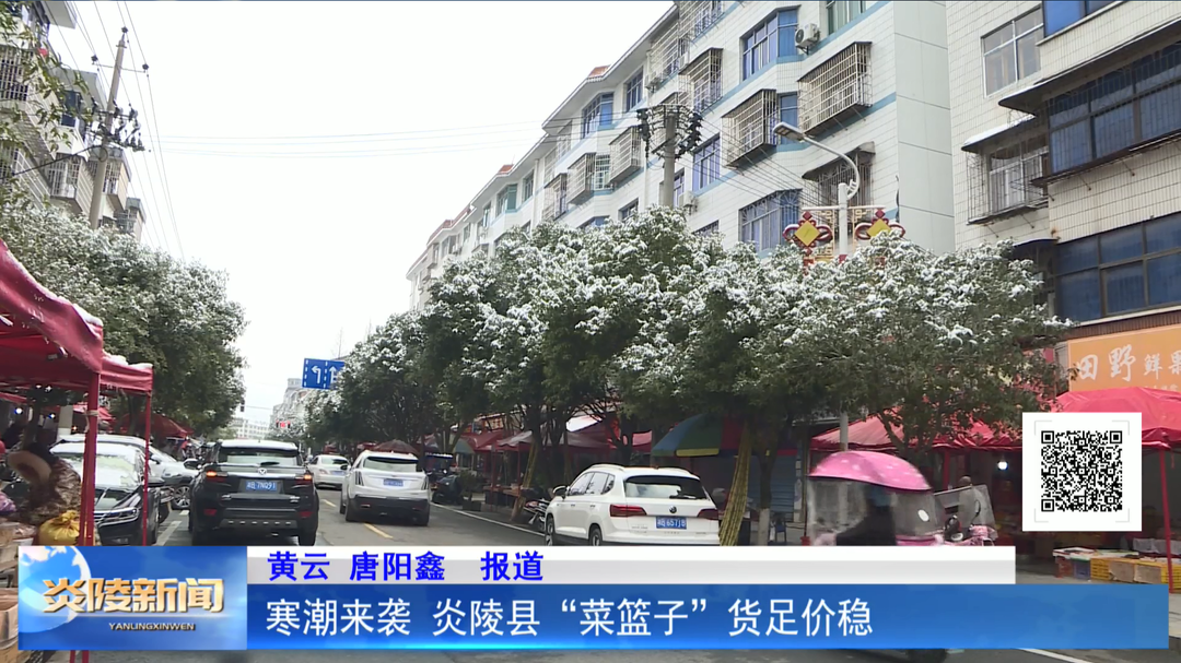 寒潮来袭 炎陵县“菜篮子”货足价稳