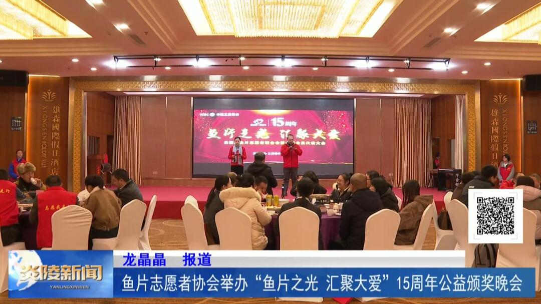 鱼片志愿者协会举办“鱼片之光 汇聚大爱”15周年公益颁奖晚会
