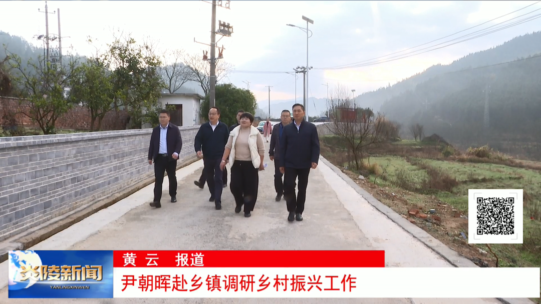 尹朝晖赴乡镇调研乡村振兴工作