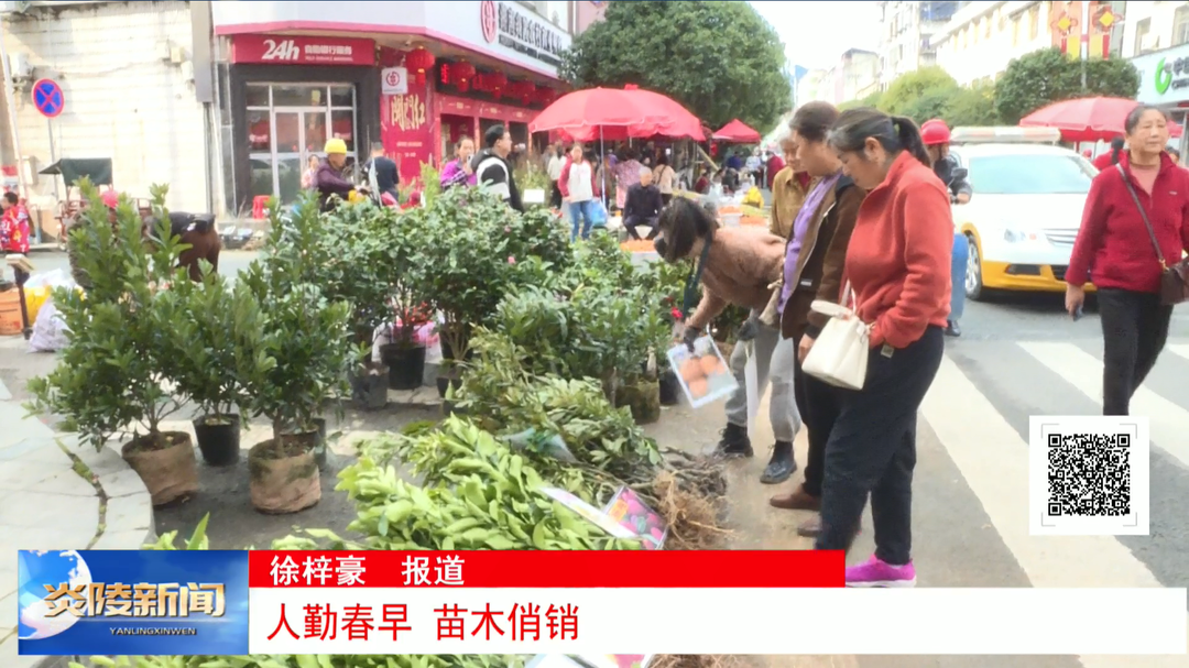 人勤春早 苗木俏销