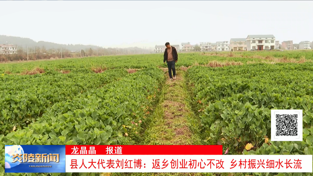 县人大代表刘红博：返乡创业初心不改 乡村振兴细水长流