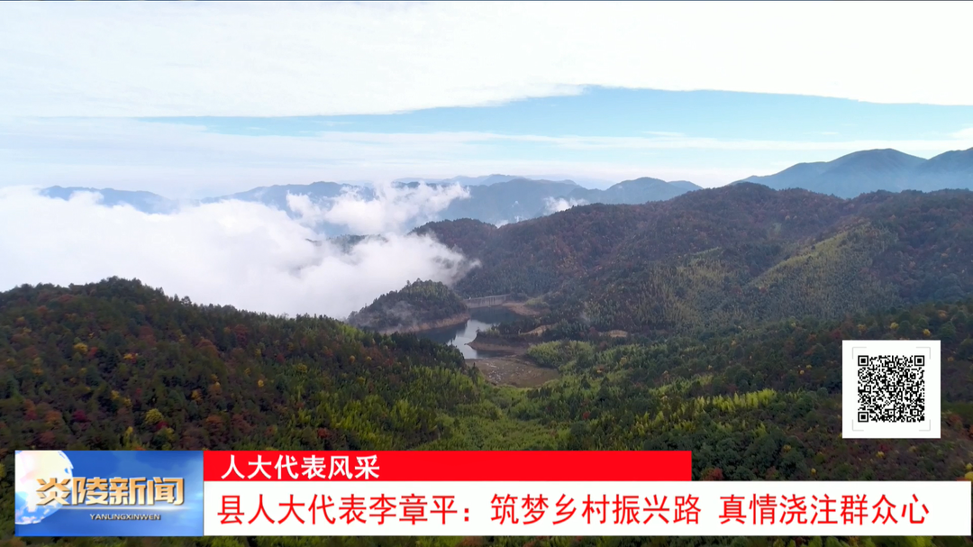 县人大代表李章平：筑梦乡村振兴路 真情浇注群众心