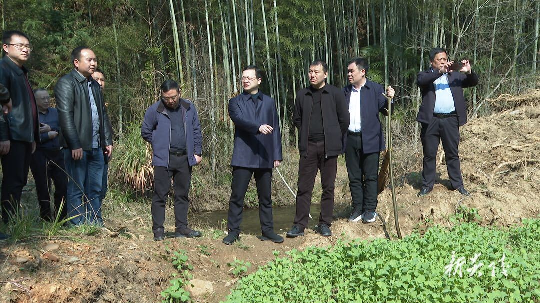 图文丨夏胜利赴乡镇调研耕地保护工作