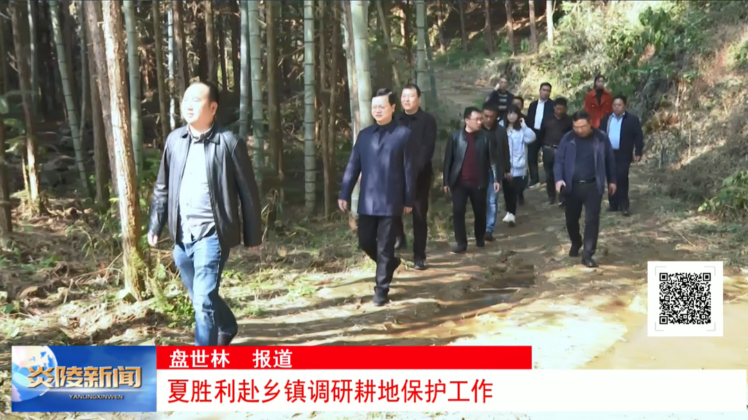 夏胜利赴乡镇调研耕地保护工作