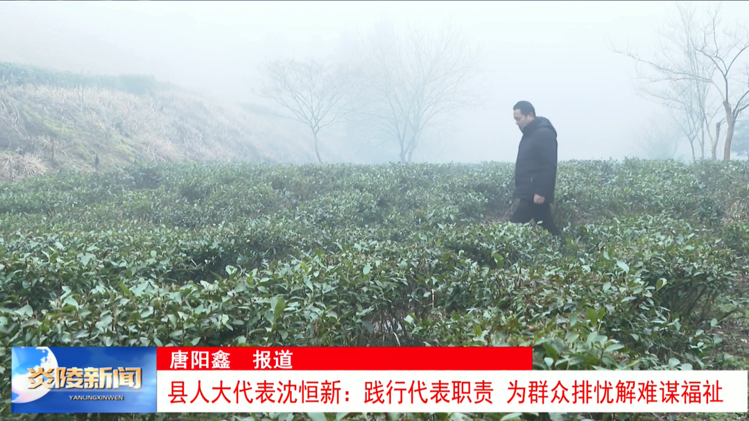 人大代表沈恒新：践行代表职责 为群众排忧解难谋福祉