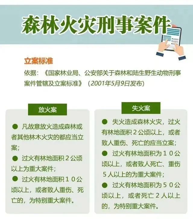 一起学习森林防火小知识 别让森林“火”起来