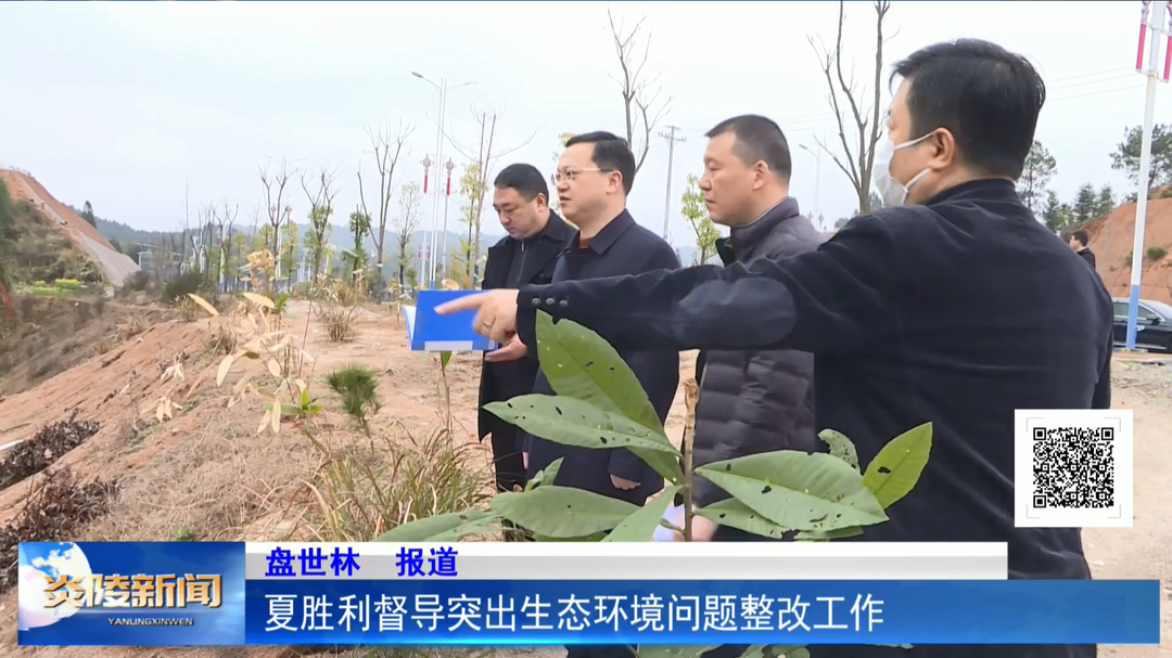 夏胜利督导突出生态环境问题整改工作