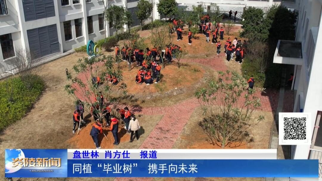 同植“毕业树” 携手向未来