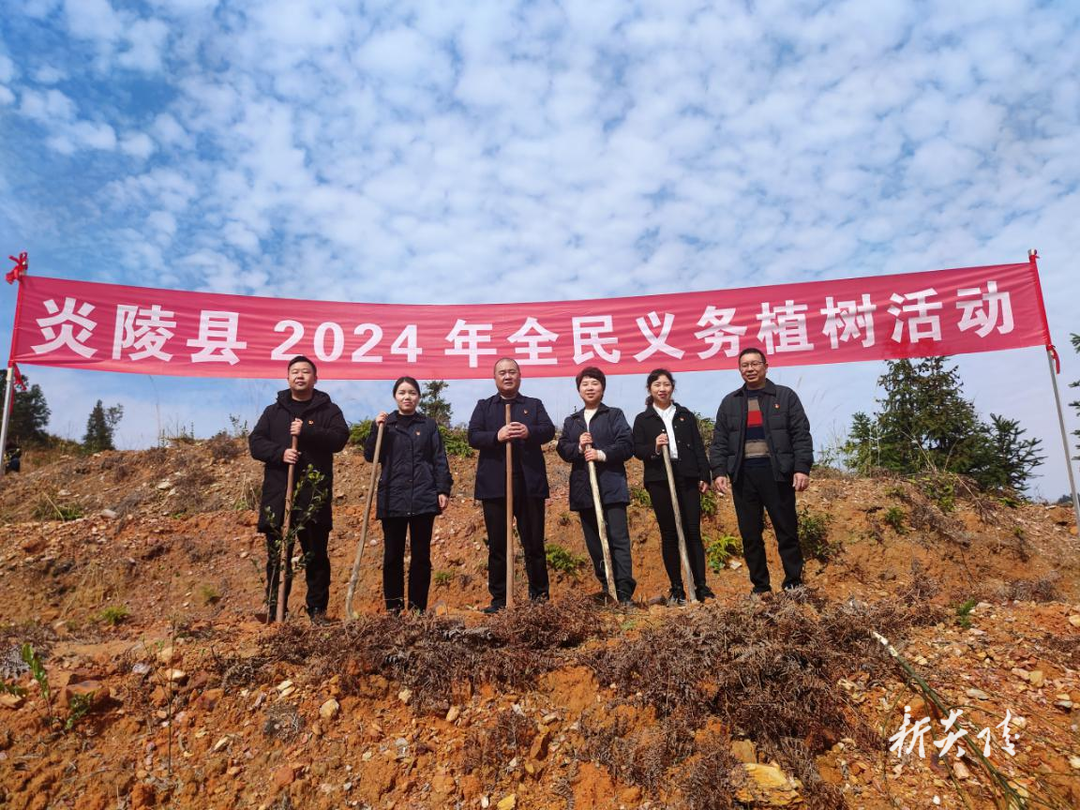 邮储银行炎陵县支行党支部开展“种下绿色希望， 共建美丽炎陵”主题党日活动
