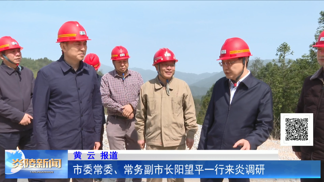 市委常委、常务副市长阳望平一行来炎调研