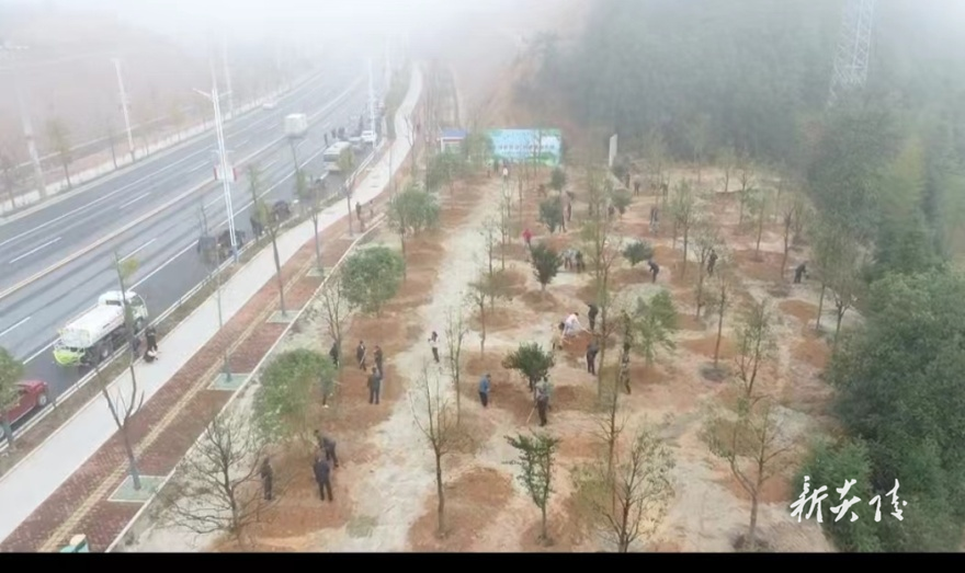 以省生态环境保护督察为契机 助推地方生态环境问题整改
