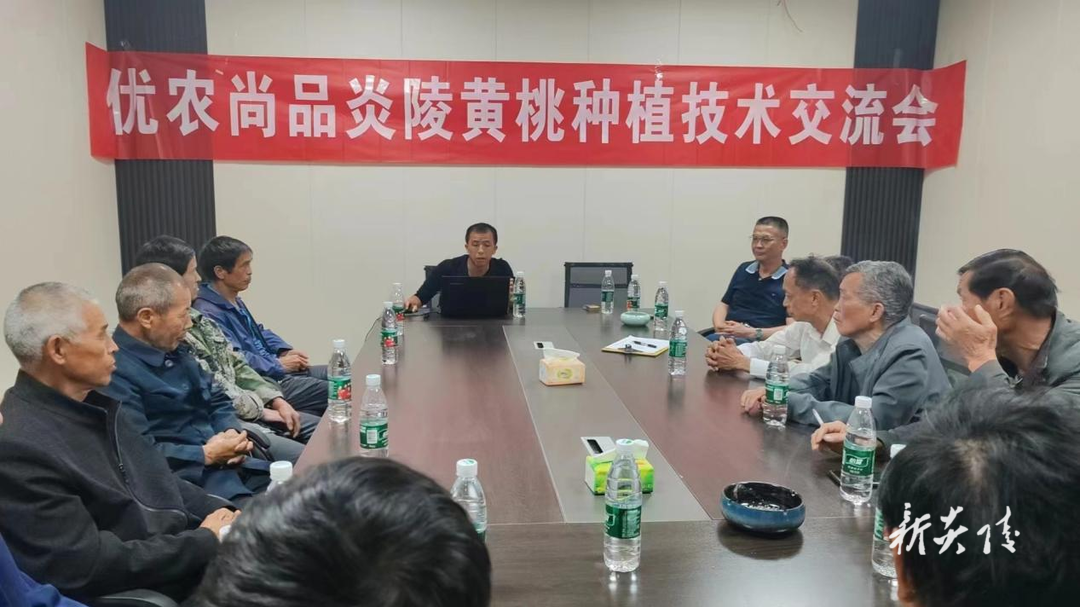 炎陵县中村瑶族乡举办黄桃种植技术交流会