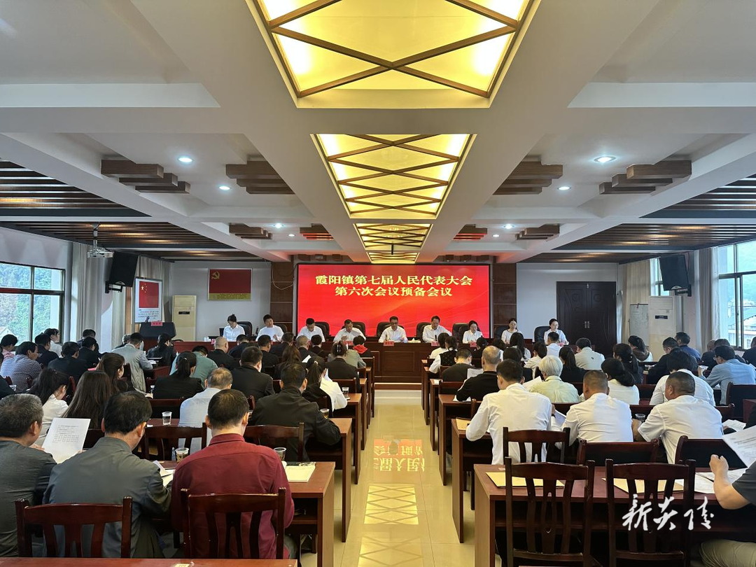 炎陵县霞阳镇召开第七届人民代表大会第六次会议