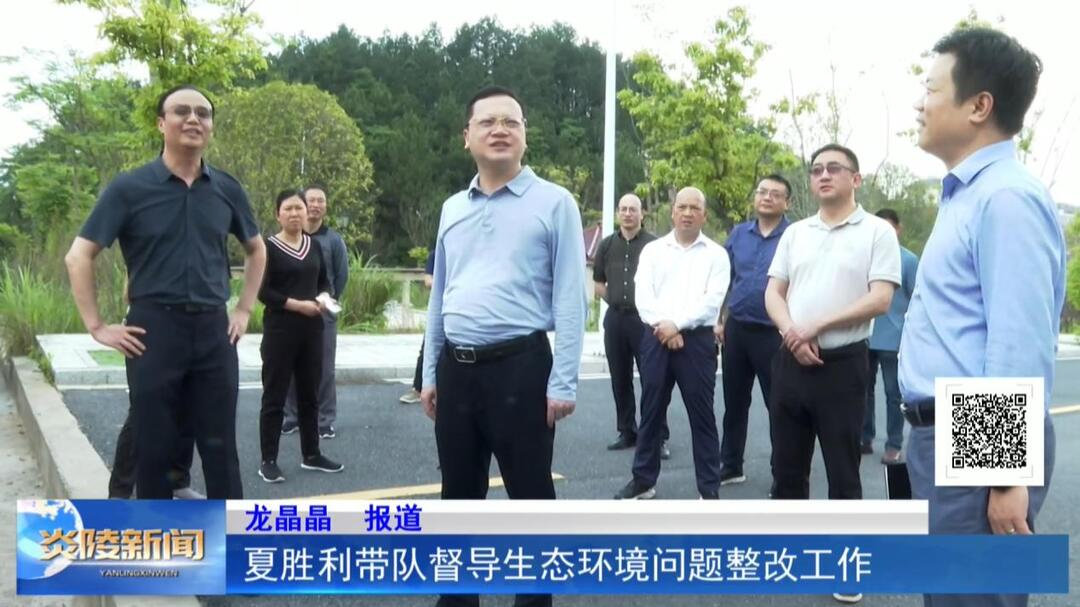夏胜利带队督导生态环境问题整改工作