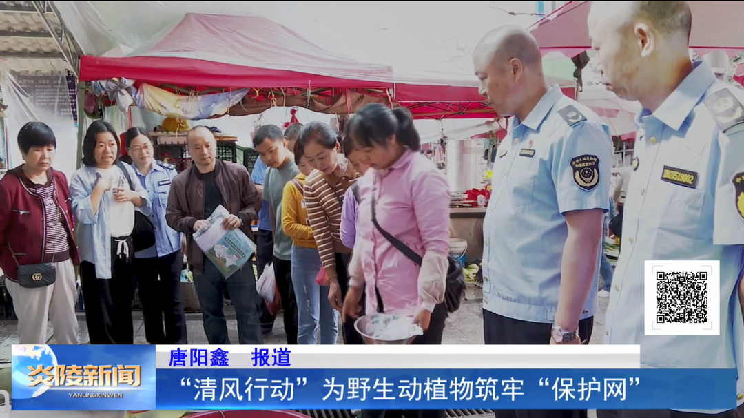 “清风行动” 为野生动植物筑牢“保护网”