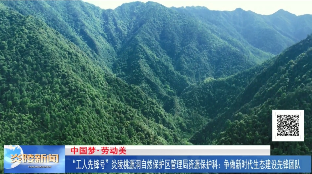 “工人先锋号”炎陵桃源洞自然保护区管理局资源保护科：争做新时代生态建设先锋团队