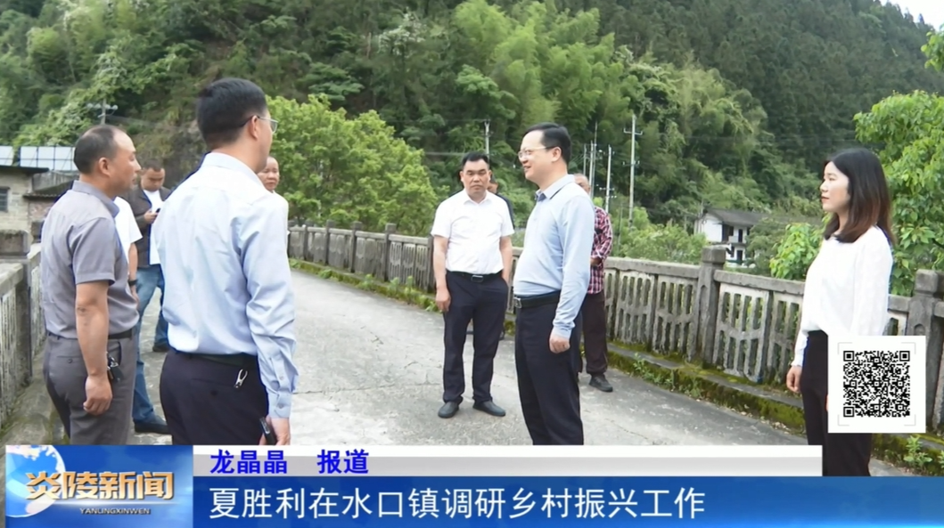 夏胜利在水口镇调研乡村振兴工作
