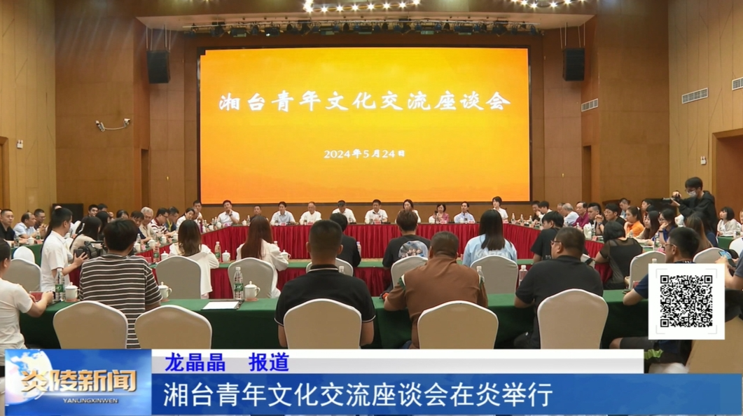 湘台青年文化交流座谈会在炎举行