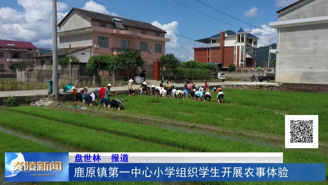 鹿原鎮(zhèn)第一中心小學(xué)組織學(xué)生開展農(nóng)事體驗(yàn)