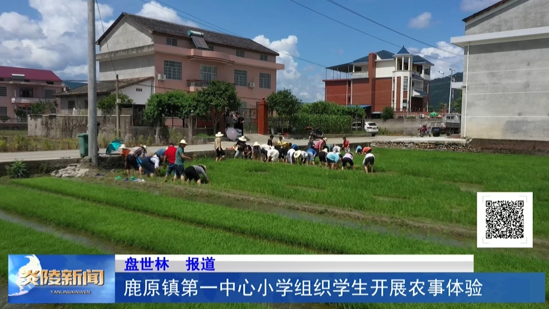 鹿原镇第一中心小学组织学生开展农事体验