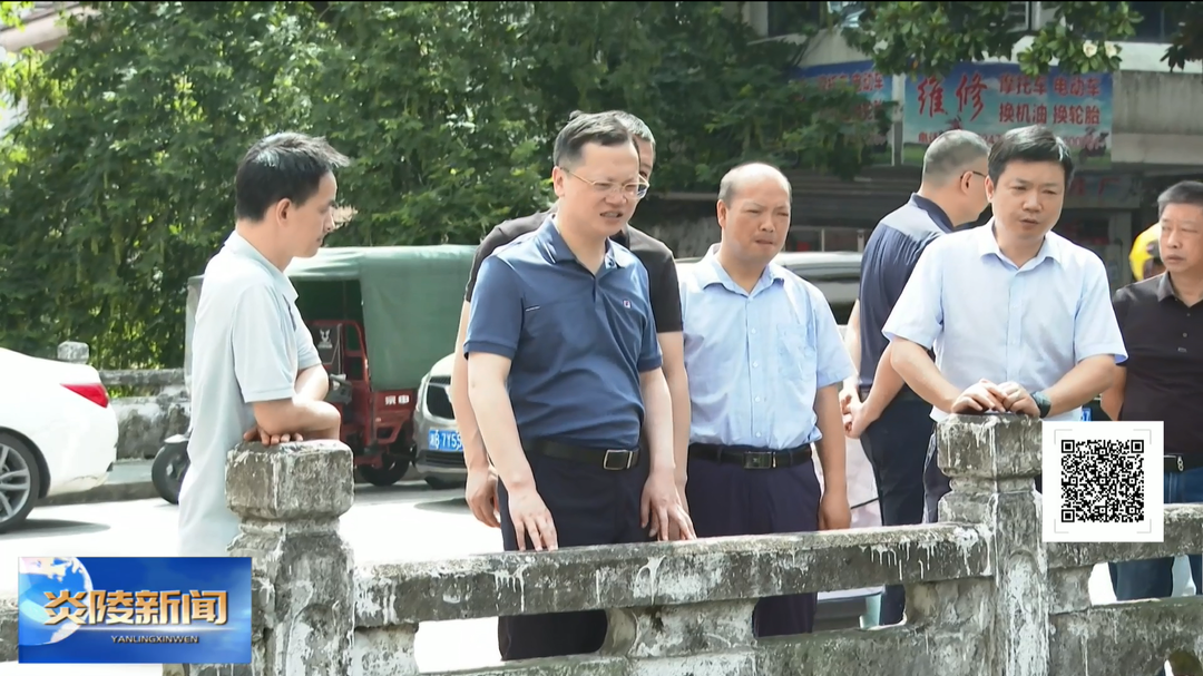 夏胜利带队督导生态环境问题整改工作