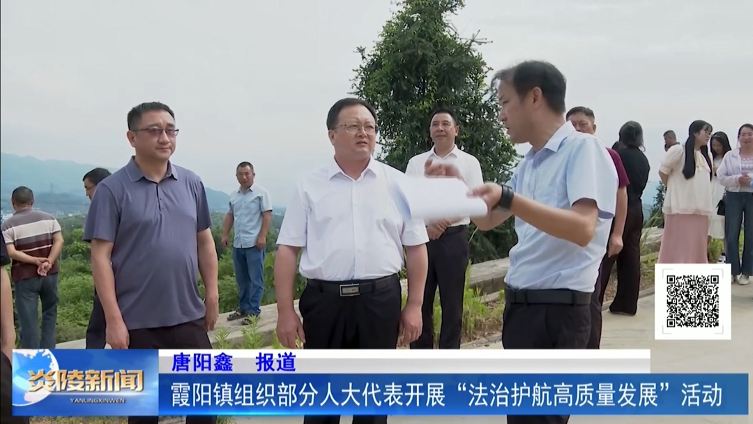 霞阳镇组织部分人大代表开展“法治护航高质量发展”活动