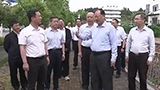 毛伟明在株洲督导中央生态环保督察发现问题整改工作 扛牢扛实整改政治责任 做实做细绿色发展文章