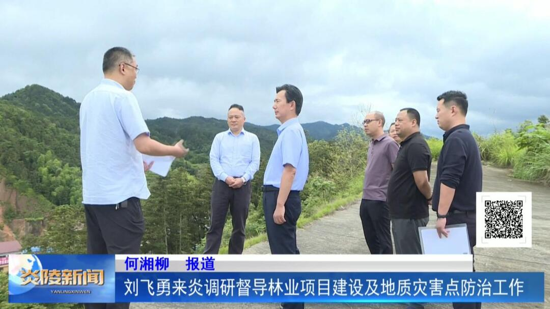刘飞勇来炎调研督导林业项目建设及地质灾害点防治工作