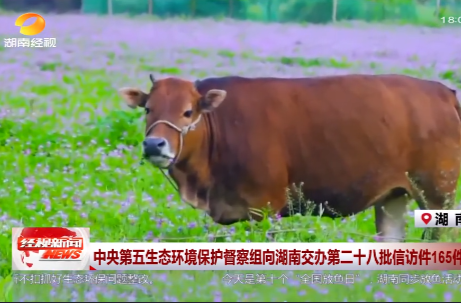 中央第五生态环境保护督察组向湖南交办第二十八批信访件165件