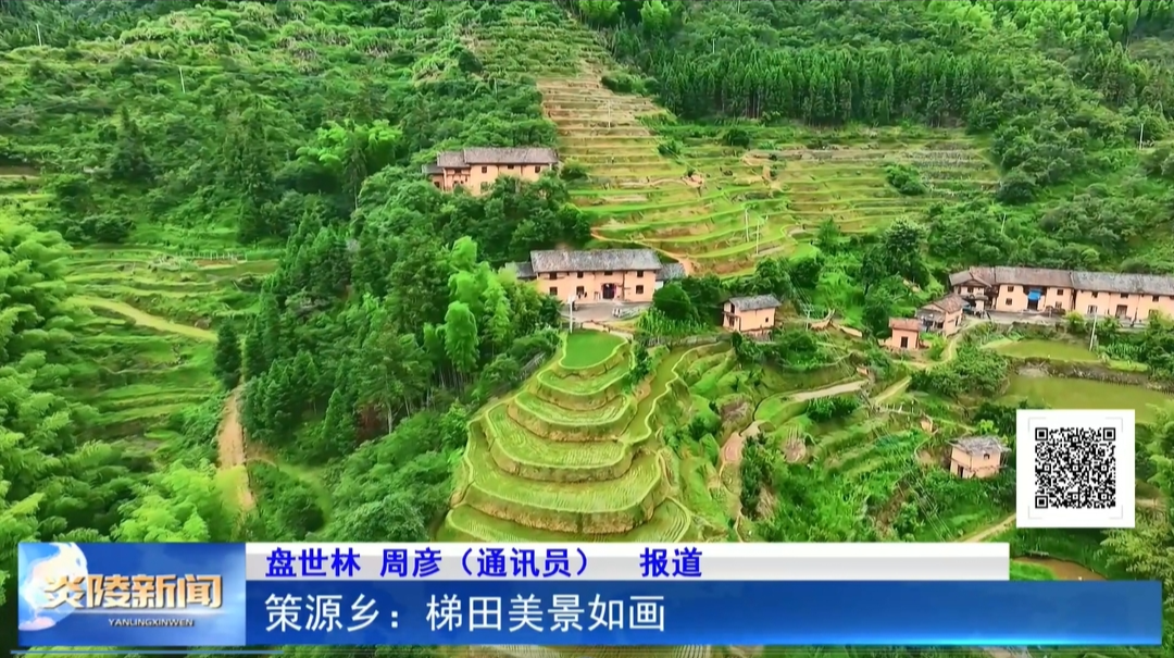 策源乡：梯田美景如画