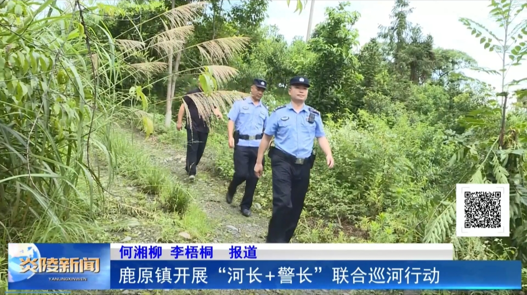 鹿原镇开展“河长+警长”联合巡河行动