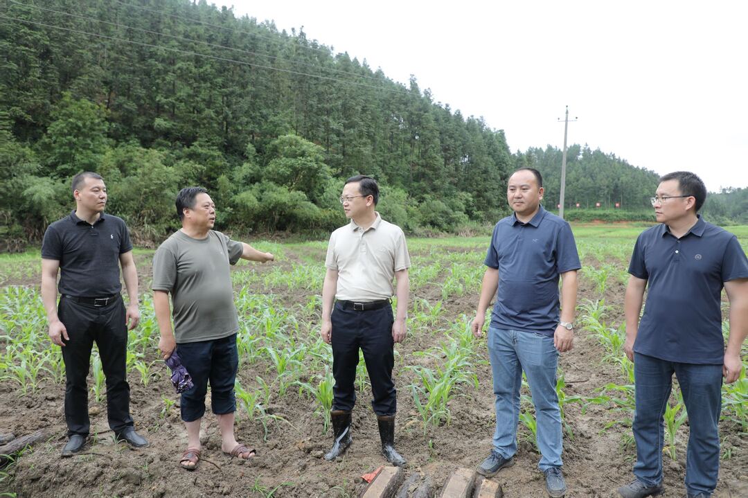 图文｜夏胜利带队调研耕地恢复工作并召开现场观摩会